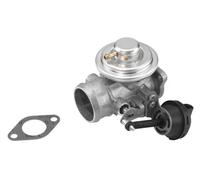 BorgWarner (Wahler) Valvola ricircolo gas scarico-EGR compatibile con AUDI FORD