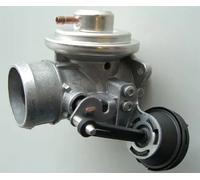 BorgWarner (Wahler) Valvola ricircolo gas scarico-EGR compatibile con AUDI FORD
