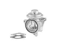 WAHLER 7496D Valvola EGR con guarnizioni per VW Golf IV Schrägheck (1J1)