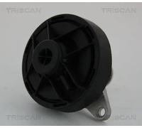 Valvola aria secondaria pneumatico 8813 24202 TRISCAN per OPEL