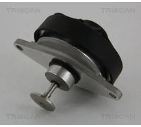 TRISCAN 8813 24202 Valvola EGR