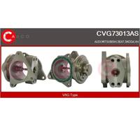 53076310BN REAL Valvola EGR per AUDI,SEAT,SKODA,VW