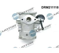 DR.MOTOR AUTOMOTIVE Valvola EGR