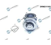 DR.MOTOR AUTOMOTIVE Valvola EGR