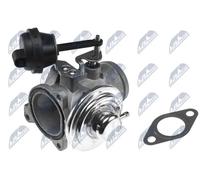 Valvola aria secondaria pneumatico EGR-AU-000 NTY per AUDI VW FORD SEAT SKODA