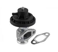 Valvola aria secondaria pneumatico EGR-VW-065 NTY per SKODA VW SEAT