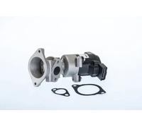 BorgWarner (BERU) Valvola aria secondaria Sx elettrico 710984R (Wahler)