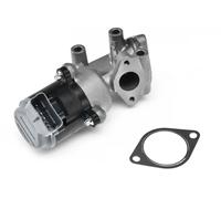 NTY Valvola ricircolo gas scarico-EGR compatibile con CITROËN JAGUAR PEUGEOT
