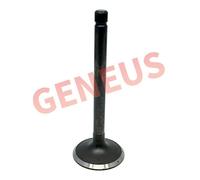 Valvola aspirazione Kubota V2203 V2403 37,2x8x101,5