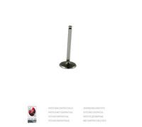 Valvola aspirazione PER Honda Civic VI Hatchback 1.4i 55 KW 75 CV