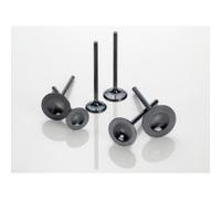 VALVOLA BETA RR 400 2005-2009 VERTEX 8400038-2 ACCIAIO ASPIRAZIONE