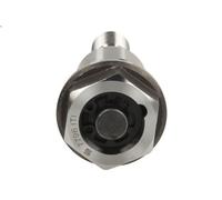 Valvola centrale, regolazione albero a camme KOLBENSCHMIDT per ADAM 1.2 2012-