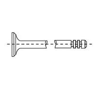 CORTECO 551867B Valvola di aspirazione per DACIA,MERCEDES-BENZ,NISSAN,RENAULT,SU