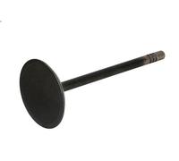 Valvola di aspirazione DNJ IV1100 per DODGE NITRO 3.7 2007-2012