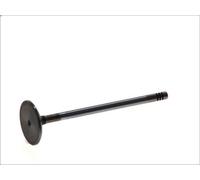 Valvola di aspirazione FRECCIA R6460/SCR