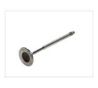 Freccia R6205/S Valvola di Aspirazione per Skoda Fabia I VW Bora Audi A1 Seat