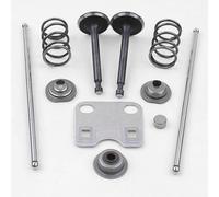 Valvola di Aspirazione Kit 5.5HP 6.5HP Motosega Protezione Calotta Pratico Utile