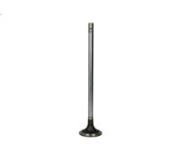 Valvola di aspirazione MAHLE 007 VE 30772 000 per DOMINO 10.308 2003-2008