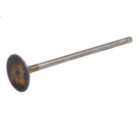 Valvola di aspirazione TRW 331167 VW TAIGO (CS1) 1 2021-2024