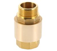 Valvola Di Collegamento in Ottone Per Uso Domestico Non Ritorno Acqua Un Modo