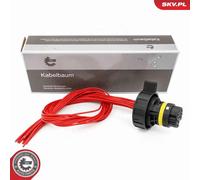 ESEN SKV 53SKV029 Valvola di comando, Cambio automatico