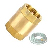 Valvola di contro-frattura a molla - Feme Feme Solid Brass UNA VALVOLA ORIZZONTALE UNA VALLE ORIZZONTALE DELLA DURATA corosione PROGETTAZIONE MADUCINA, CONCACLO DI RIMBATTO VERTICO V