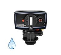Valvola di controllo 'addolcitore d'acqua for tutta la casa da 110 V 5600 Valvola di controllo 'orologio del timer della valvola 'addolcitore d'acqua da 12 giorni Testa di controlavaggio for serbatoi