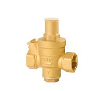 Valvola di Controllo, DN15 DN20 DN25 Valvole di mantenimento a riduzione a pressione 'acqua in ottone Valvole di scarico regolabili con misuratore(DN15)