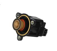 Valvola di deviazione dell'aria, caricatore PIERBURG per 1 (F21) 1.6 2011-2015