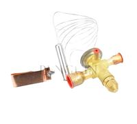 Valvola di espansione termostatica 1pc Valvola di espansione elettronica Valvola di espansione del refrigerante
