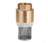 Valvola di fondo in ottone con filettatura interna per filtro del tubo di ingresso dell'acqua e valvola di ritegno verticale, opzioni di dimensioni DN15/DN20/DN25 in finitura oro o argento (DN15)