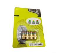 Valvola di monitoraggio della pressione dei pneumatici per uso automobilistico con guscio esterno in acciaio inossidabile e nucleo in rame sigillato per resistenza all'umidità (C)