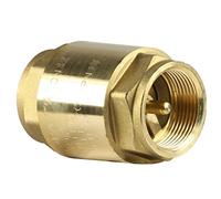 Valvola di non ritorno EUROPA ritegno 1" 1/4 FF