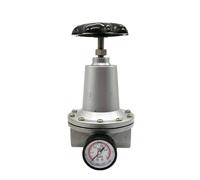 Valvola di regolazione del regolatore di pressione del manometro del compressore del controllo 'aria QTY-25 G1'' Filettatura della porta