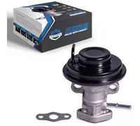 Valvola di ricircolo gas di scarico EGR con guarnizione, adatta per Toyota Camry 1997-2001 99-01 Solara 98-00 RAV4 motore a 4 cilindri e modelli a trasmissione automatica, sostituisce solo 25620-74330