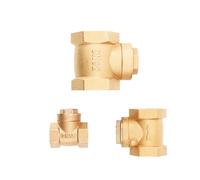 Valvola di ritegno a battente di non ritorno in ottone con filettatura femmina 1-1/4" 1-1/2" 2 "BSPT DN32/DN40/DN50 di tipo orizzontale unidirezionale for acqua(1-1/2 inch)