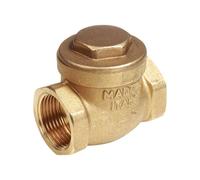 Valvola di ritegno a Clapet Giacomini F 1 1/2 in ottone N6Y007