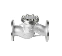 Valvola di ritegno a flangia in acciaio inossidabile da 4 pollici H41W-16P DN100