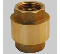 VALVOLA DI RITEGNO A MOLLA INSERTO IN PVC 1'1/2 Valvole Ritegno