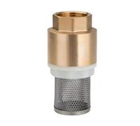 Valvola di ritegno a nastro di rame Installare la valvola di fondo for le pompe in ottone, controllo verticale come mostrato nell'immagine del filtro della pompa acqua(DN50)