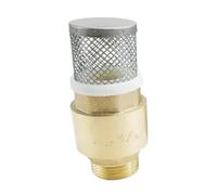 Valvola di ritegno a nastro di rame Valvola di fondo in rame con ingresso acqua e filtro, pompa controllo, 4 minuti, 6, tappo maschio da 1 pollice, bocca pagoda(2)
