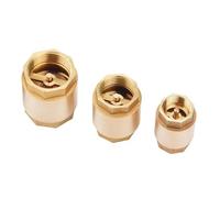 Valvola di ritegno a sollevamento verticale a molla in ottone con filettatura femmina da 1-1/2 '' 1-1/4 "2" DN32/DN40/DN50 unidirezionale di non ritorno for acqua(1-1/4 inch)