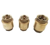 Valvola di ritegno con filettatura in ottone ad alta pressione - Valvola a molla in linea durevole for acqua, gas e olio 1 pezzo(DN25)