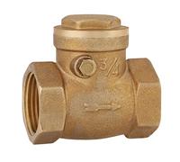 Valvola di ritegno, DN20 232PSI 3/4, femmina in ottone, valvola di ritegno dell'acqua Valvola di filettatura, unidirezionale, non ritorno per impedire il riflusso dell'acqua