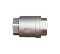 Valvola di ritegno femmina BSPT 1/2 "DN15 DN20 DN25 Valvola di ritegno verticale con molla in linea in acciaio inossidabile 304 1000 WOG(DN25)