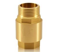 Valvola di ritegno in ottone, 1" AG x 1" IG, DN25 con filettatura interna e filettatura esterna, valvola di ritegno verticale in ottone da 1" per tubo dell'acqua, scaldabagno