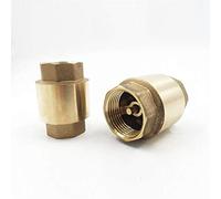 Valvola di ritegno in ottone G 1/2 3/4 1 1-1/4 2 pollici - Valvola di ritegno a molla di sollevamento verticale 1 pezzo(DN20)