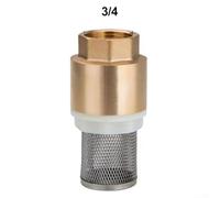 Valvola di ritegno in ottone per la gestione del flusso d'acqua, per giardini, stagni e uso agricolo, con filtro in acciaio inox (3/4")