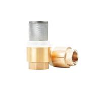 Valvola di ritegno inferiore in ottone femmina da 1-1/4 "1-1/2" 2 "DN32/DN40/DN50 Non ritorno con filtro in acciaio for pompa idraulica 'acqua(1-1/4 inch)