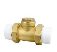 Valvola di ritegno orizzontale in ottone con doppi giunti mobili for prevenire il riflusso dell'acqua(PPR40)